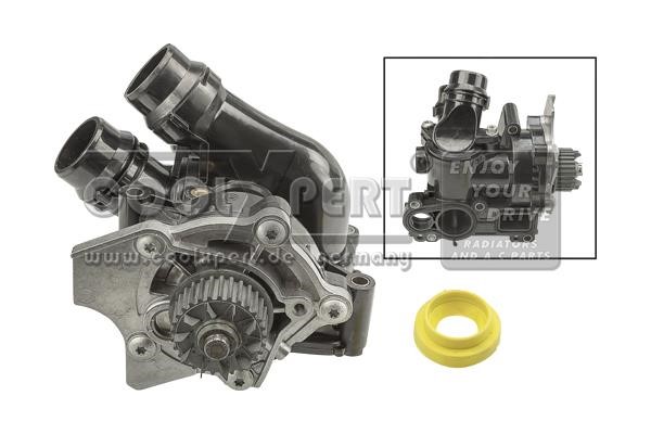 BBR Automotive 001-10-25093 Water pump 0011025093: Buy near me at 2407.PL in Poland at an Affordable price!