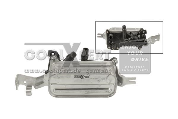 BBR Automotive 001-10-22507 Oil Cooler, automatic transmission 0011022507: Buy near me in Poland at 2407.PL - Good price!