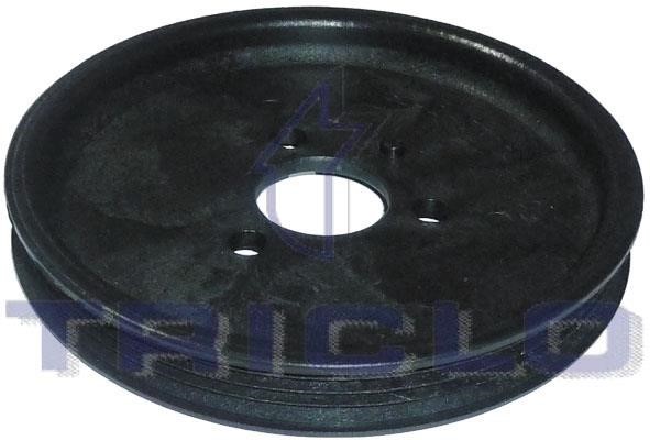 Triclo 422368 Belt Pulley, hydraulic pump (leveling control) 422368: Buy near me in Poland at 2407.PL - Good price!
