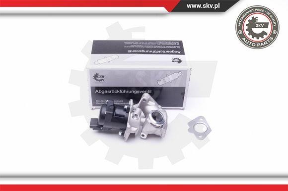 egr-valve-14skv202-49591165