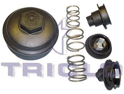Triclo 312145 Oil Filter Housing Cap 312145: Buy near me in Poland at 2407.PL - Good price!