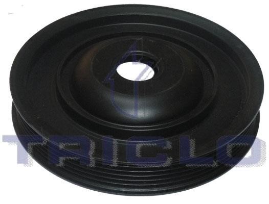 Triclo 425052 Belt Pulley, crankshaft 425052: Buy near me at 2407.PL in Poland at an Affordable price!