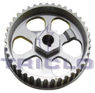 Triclo 425698 Fuel pump gear 425698: Buy near me in Poland at 2407.PL - Good price!