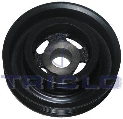 Triclo 428254 Belt Pulley, crankshaft 428254: Buy near me in Poland at 2407.PL - Good price!