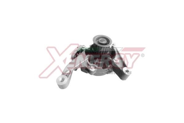 Xenergy X208061 Water pump X208061: Buy near me in Poland at 2407.PL - Good price!