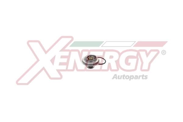 Xenergy XT5111.88 Термостат XT511188: Отличная цена - Купить в Польше на 2407.PL!