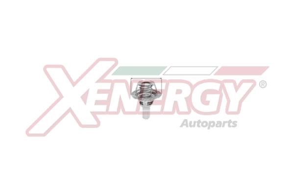 Xenergy XT5284.86 Termostat, środek chłodzący XT528486: Atrakcyjna cena w Polsce na 2407.PL - Zamów teraz!