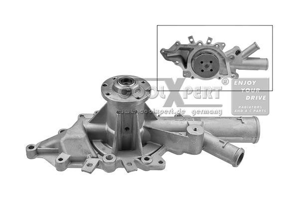 BBR Automotive 001-10-17307 Water pump 0011017307: Buy near me in Poland at 2407.PL - Good price!