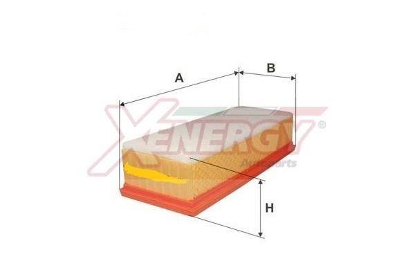 Xenergy X1591393 Air filter X1591393: Buy near me in Poland at 2407.PL - Good price!