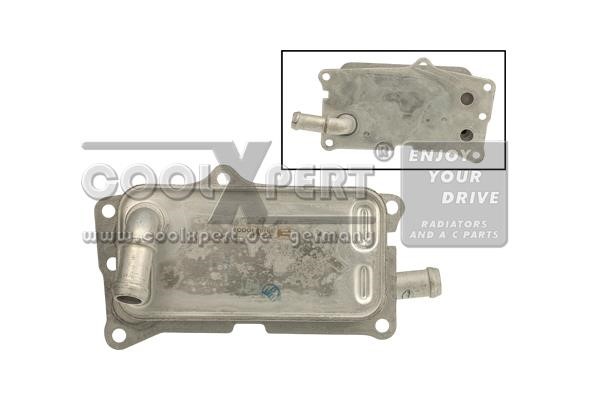 BBR Automotive 001-10-24994 Oil Cooler, automatic transmission 0011024994: Buy near me in Poland at 2407.PL - Good price!