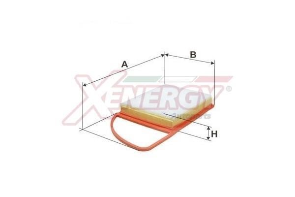 Xenergy X1521916 Air filter X1521916: Buy near me in Poland at 2407.PL - Good price!