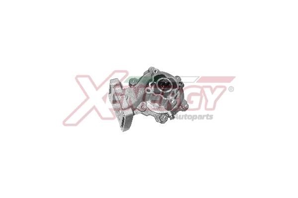 Xenergy X208067 Water pump X208067: Buy near me in Poland at 2407.PL - Good price!