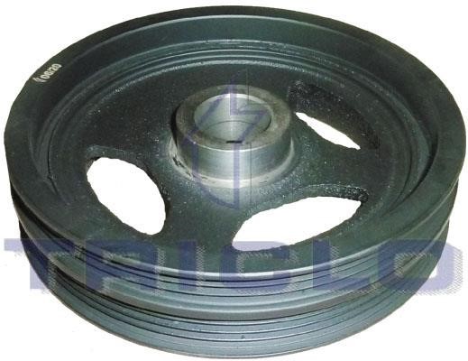Triclo 425812 Belt Pulley, crankshaft 425812: Buy near me at 2407.PL in Poland at an Affordable price!