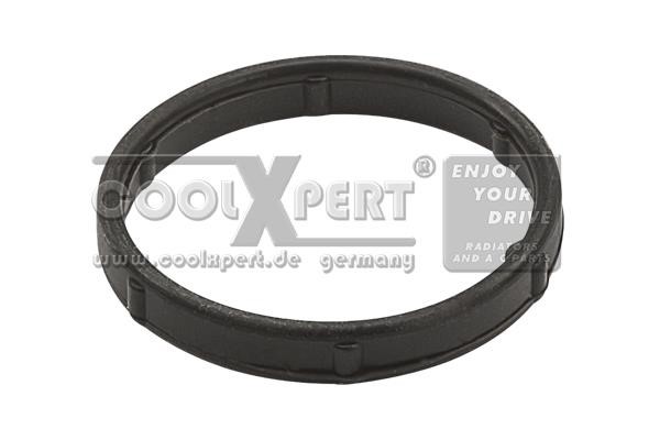 BBR Automotive 001-10-29919 Gasket, coolant flange 0011029919: Buy near me in Poland at 2407.PL - Good price!