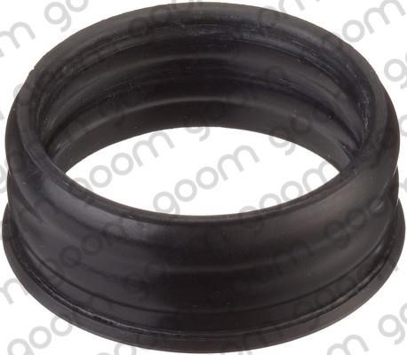 Goom WPG-0001 Gasket, water pump WPG0001: Buy near me at 2407.PL in Poland at an Affordable price!