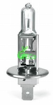 GECo Electrical Components NT1002 Halogen lamp 24V H1 70W NT1002: Buy near me in Poland at 2407.PL - Good price!
