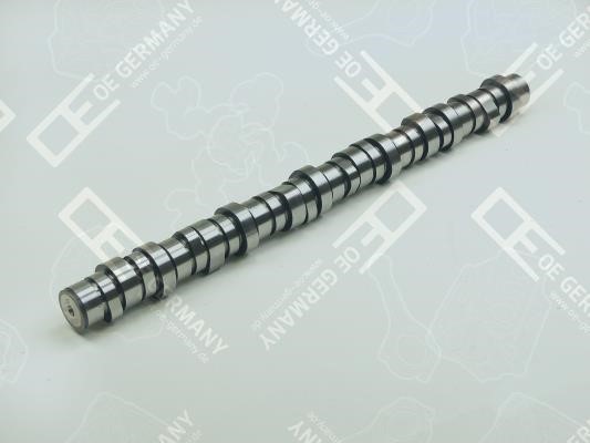 OE Germany 03 0500 D13C00 Camshaft 030500D13C00: Buy near me in Poland at 2407.PL - Good price!