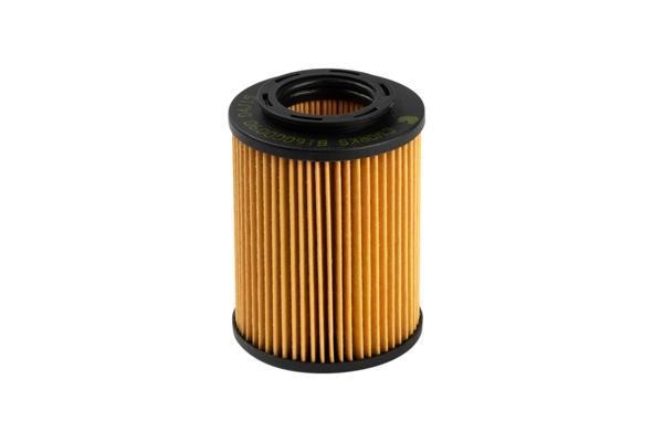 CWORKS B160G0090 Oil Filter B160G0090: Buy near me in Poland at 2407.PL - Good price!