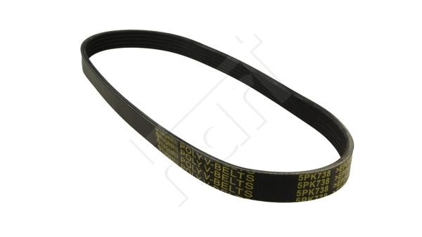 Hart 368 893 V-Ribbed Belt 368893: Buy near me at 2407.PL in Poland at an Affordable price!