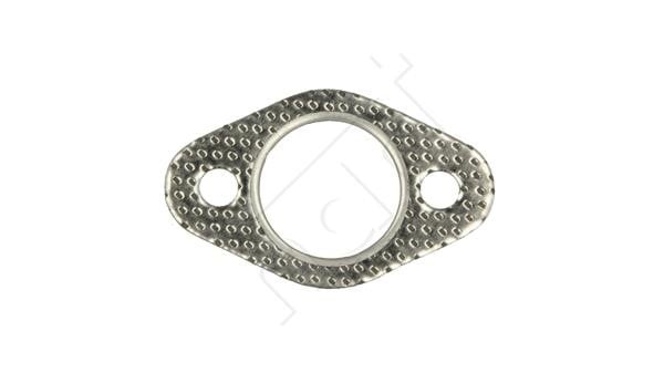 Hart 724 044 Exhaust pipe gasket 724044: Buy near me in Poland at 2407.PL - Good price!
