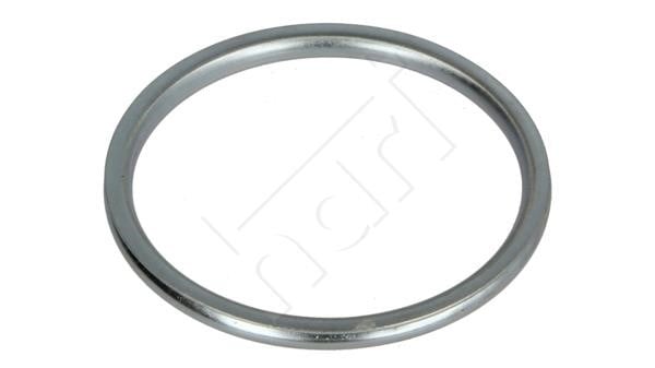 Hart 701 104 Exhaust pipe gasket 701104: Buy near me in Poland at 2407.PL - Good price!