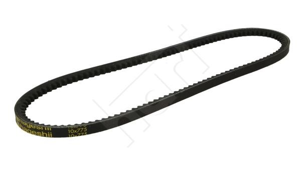 Hart 338 050 V-belt 338050: Buy near me at 2407.PL in Poland at an Affordable price!