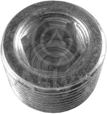 Aslyx AS-100676 Sump plug AS100676: Buy near me in Poland at 2407.PL - Good price!