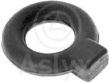 Aslyx AS-100098 Clamp, silencer AS100098: Buy near me in Poland at 2407.PL - Good price!