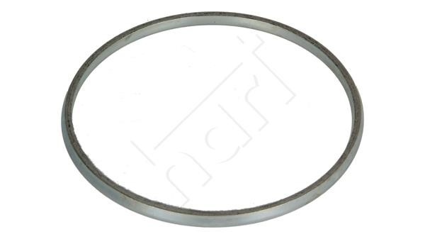 Hart 717 966 Exhaust pipe gasket 717966: Buy near me in Poland at 2407.PL - Good price!