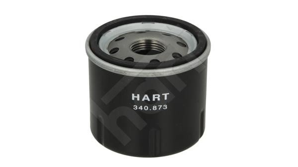 Hart 340 873 Oil Filter 340873: Buy near me in Poland at 2407.PL - Good price!