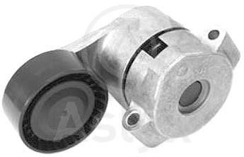 Aslyx AS-521050 Idler roller AS521050: Buy near me in Poland at 2407.PL - Good price!
