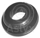 Aslyx AS-506181 Прокладка, вакуумный соединитель BKV AS506181: Отличная цена - Купить в Польше на 2407.PL!