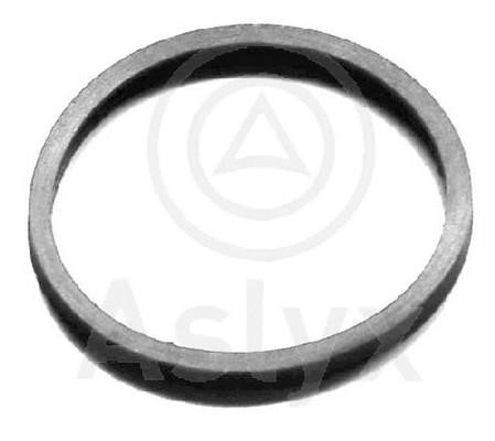 Aslyx AS-102404 Termostat gasket AS102404: Buy near me in Poland at 2407.PL - Good price!