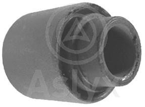 Aslyx AS-100151 Control Arm-/Trailing Arm Bush AS100151: Buy near me in Poland at 2407.PL - Good price!