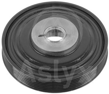 Aslyx AS-105172 Belt Pulley, crankshaft AS105172: Buy near me in Poland at 2407.PL - Good price!