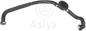 Aslyx AS-109095 Przewód olejowy elastyczny AS109095: Dobra cena w Polsce na 2407.PL - Kup Teraz!