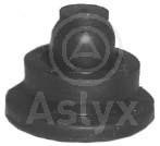 Aslyx AS-506550 Engine cover AS506550: Buy near me in Poland at 2407.PL - Good price!
