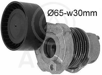 Aslyx AS-521120 Idler roller AS521120: Buy near me in Poland at 2407.PL - Good price!