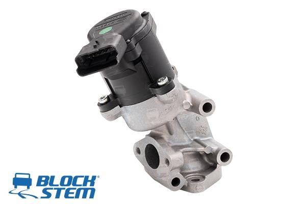 Block Stem EGR0123 AGR-Ventil EGR0123: Bestellen Sie in Polen zu einem guten Preis bei 2407.PL!