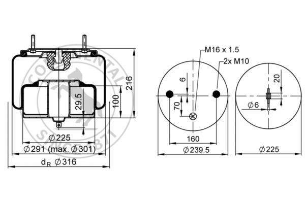 Buy Contitech 6613 N P01 at a low price in Poland!