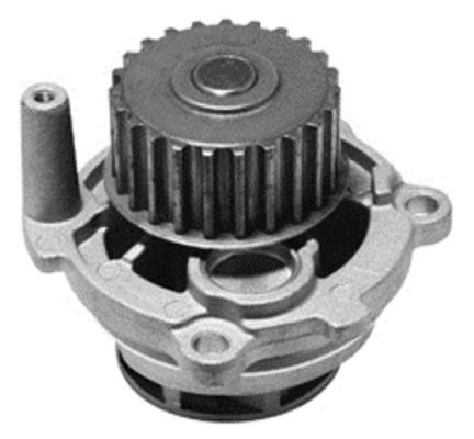 Tradex France TPE-704 Water pump TPE704: Buy near me in Poland at 2407.PL - Good price!