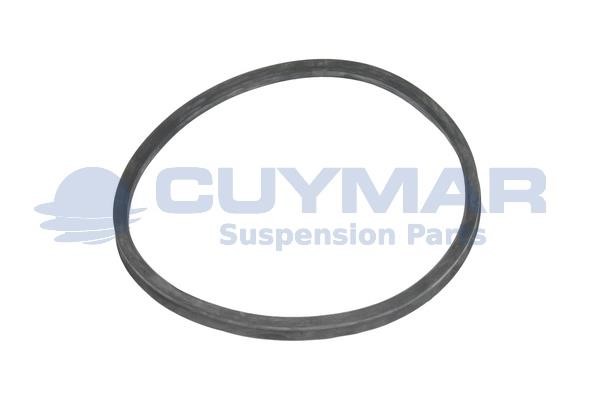 Cuymar 3410105 Seal Ring, steering knuckle (spring bracket) 3410105: Buy near me in Poland at 2407.PL - Good price!