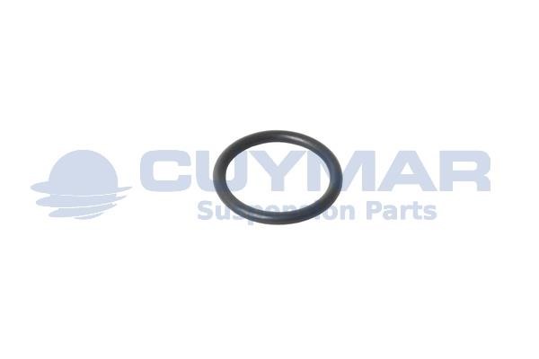 Cuymar 3602405 Уплотняющее кольцо 3602405: Отличная цена - Купить в Польше на 2407.PL!