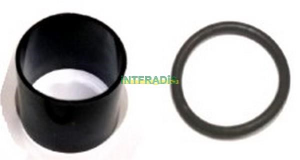 Intfradis 10129 Seal Kit, injector nozzle 10129: Buy near me in Poland at 2407.PL - Good price!