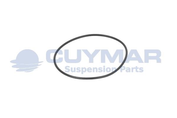 Cuymar 3403108 Уплотняющее кольцо 3403108: Отличная цена - Купить в Польше на 2407.PL!