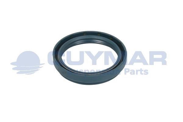 Cuymar 3403110 Seal Ring, steering knuckle (spring bracket) 3403110: Buy near me in Poland at 2407.PL - Good price!