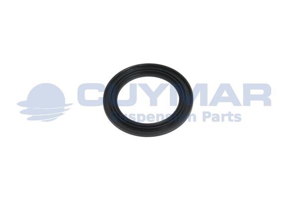 Cuymar 4203159 Seal Ring, driver cab stabiliser 4203159: Buy near me in Poland at 2407.PL - Good price!
