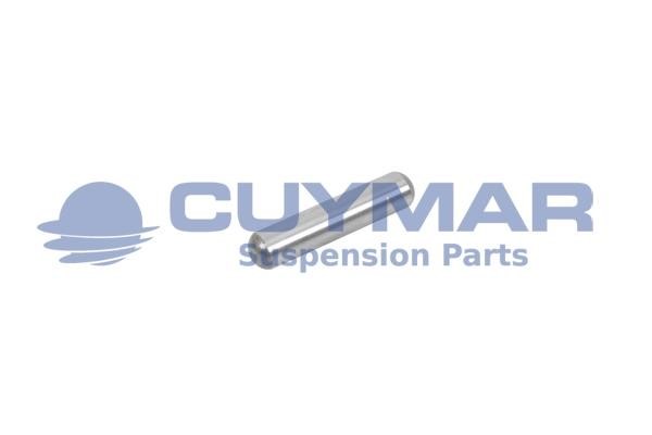 Cuymar 6002010 Болт для додаткового регулювання, гальмівна установка 6002010: Приваблива ціна - Купити у Польщі на 2407.PL!