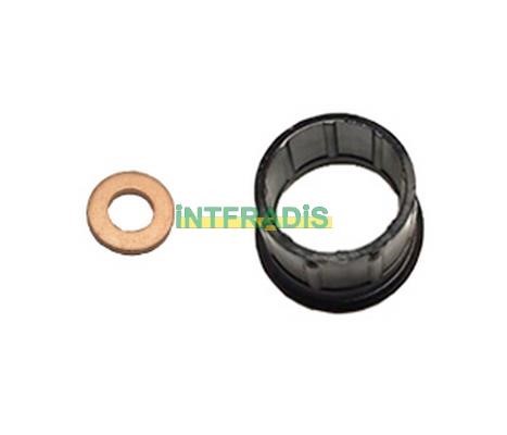 Intfradis 10123 Seal Kit, injector nozzle 10123: Buy near me in Poland at 2407.PL - Good price!