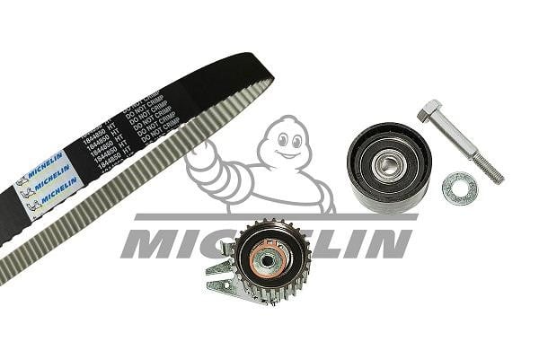 Michelin Engine Parts SMATK0013 Timing Belt Kit SMATK0013: Buy near me in Poland at 2407.PL - Good price!